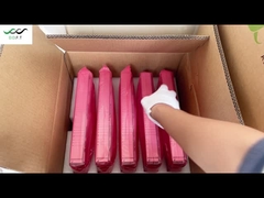 Ελτέκ Flatpack2 48/3000HE 48V 3000W υψηλής απόδοσης (αριθμός μέρους 241119.105)